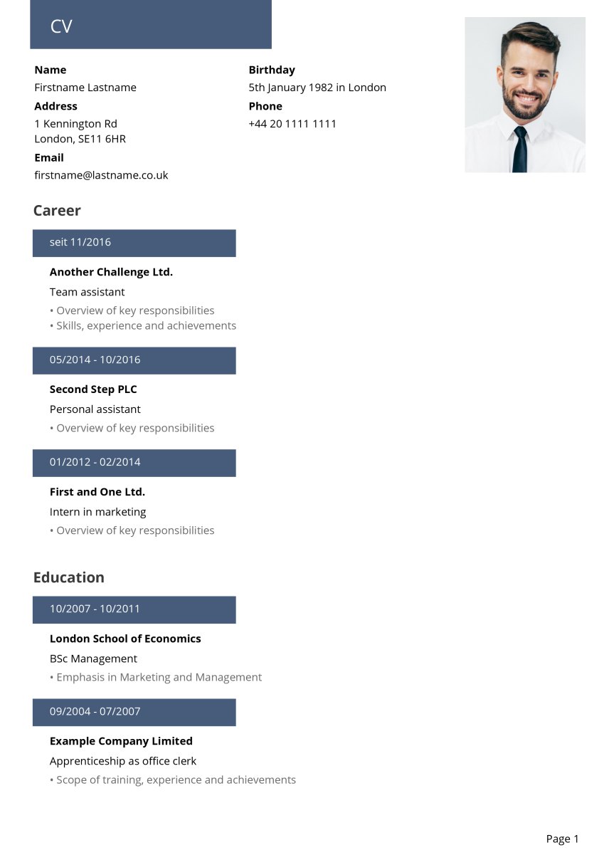 Example for Detailed CV